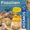 Franckh-Kosmos Forschen & Entdecken-Fossilien