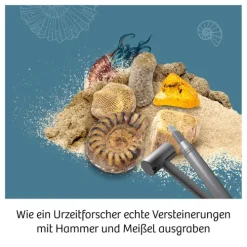 Franckh-Kosmos Forschen & Entdecken-Fossilien