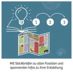 Franckh-Kosmos Forschen & Entdecken-Fossilien