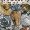 Demmler Verlag GmbH Geowissenschaft*Fossilien am Ostseestrand