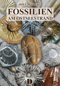 Demmler Verlag GmbH Geowissenschaft*Fossilien am Ostseestrand