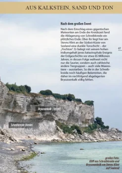 Demmler Verlag GmbH Geowissenschaft*Fossilien am Ostseestrand