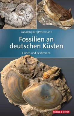 Quelle + Meyer Geowissenschaft-Fossilien an deutschen Küsten
