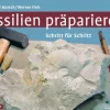 Quelle + Meyer Geowissenschaft-Fossilien präparieren