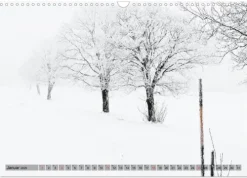 Franken WildRomantisch (Wandkalender 2026 DIN A3 quer), Monatskalender*Calvendo Best