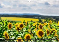 Franken WildRomantisch (Wandkalender 2026 DIN A3 quer), Monatskalender*Calvendo Best