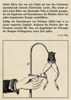 Coppenrath Klassiker|Klassische Horrorgeschichten-Frankenstein