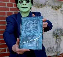 Coppenrath Klassiker|Klassische Horrorgeschichten-Frankenstein