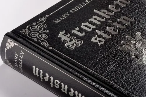 Frankenstein. Ein Schauerroman*Anaconda Verlag Online