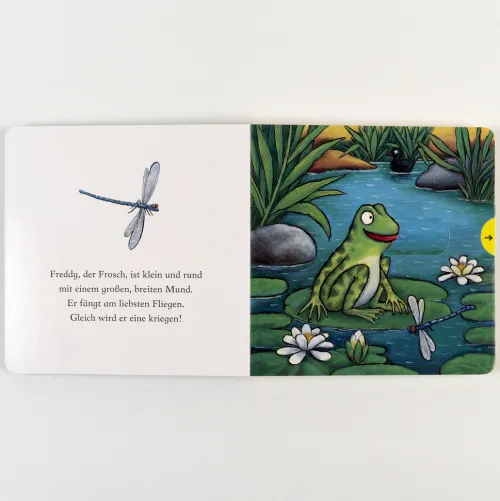 Freddy, der Frosch*Beltz Verlagsgruppe Clearance