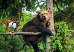 Don Bosco Medien GmbH Lesen & Geschichten-Frühling im Wichtelwald. Kamishibai Bildkartenset