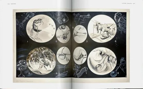 Fritz Kahn. Infographics Pioneer*Taschen GmbH Clearance