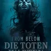 From Below - Die Toten warten*Festa Verlag Online