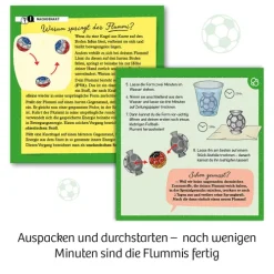 Franckh-Kosmos Forschen & Entdecken*Fußball-Flummis