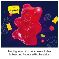 Franckh-Kosmos Forschen & Entdecken-Fun Science Fruchtgummi-Labor