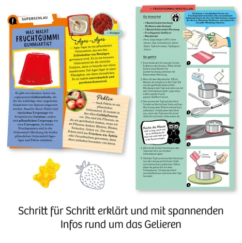 Franckh-Kosmos Forschen & Entdecken-Fun Science Fruchtgummi-Labor