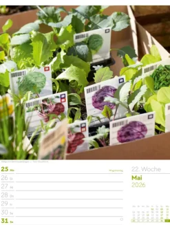 Ackermann Kunstverlag Wochenkalender*Gartenglück Wochenplaner Kalender 2026
