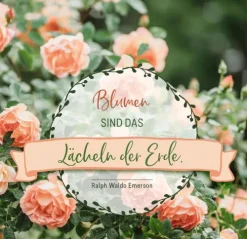 ars edition Weisheiten-Gartenluft und Blumenduft