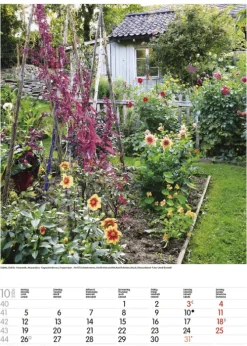 Korsch Verlag GmbH Wandkalender*Gartenträume 2026