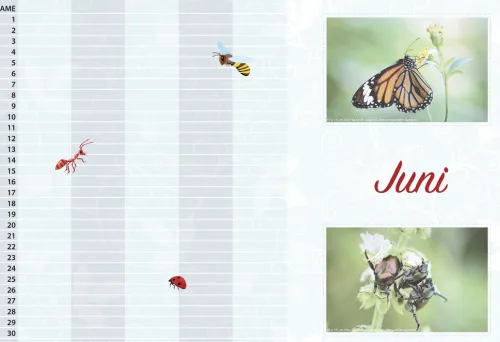 familia Verlag Immerwährender Kalender-Geburtstagskalender für Familien