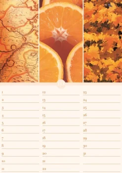 Geburtstagskalender Harmonie & Farbe immerwährend*Neumann Verlage GmbH & Co Online