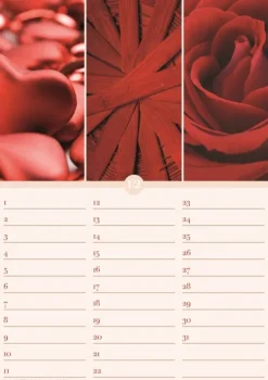 Geburtstagskalender Harmonie & Farbe immerwährend*Neumann Verlage GmbH & Co Online