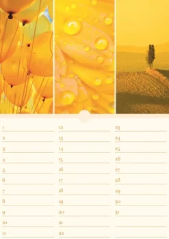 Geburtstagskalender Harmonie & Farbe immerwährend*Neumann Verlage GmbH & Co Online