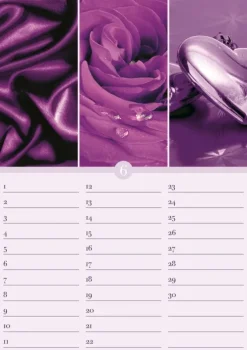 Geburtstagskalender Harmonie & Farbe immerwährend*Neumann Verlage GmbH & Co Online