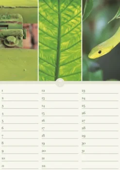 Geburtstagskalender Harmonie & Farbe immerwährend*Neumann Verlage GmbH & Co Online