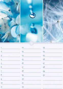 Geburtstagskalender Harmonie & Farbe immerwährend*Neumann Verlage GmbH & Co Online