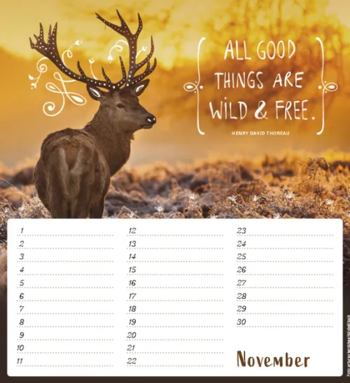 Korsch Verlag GmbH Wandkalender|Immerwährender Kalender-Geburtstagskalender Im herzen barfuß