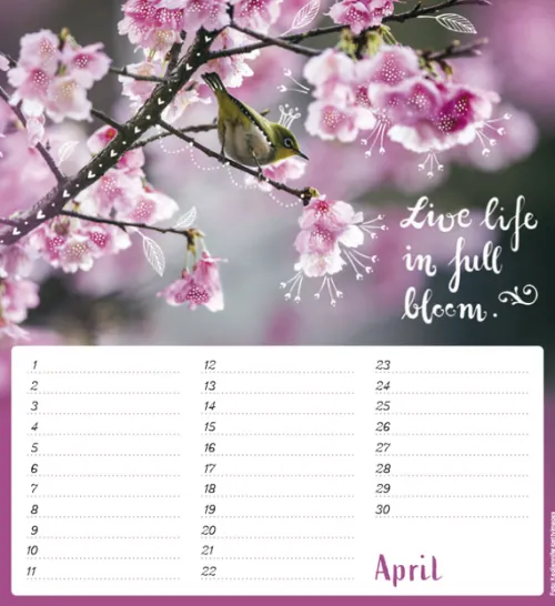 Korsch Verlag GmbH Wandkalender|Immerwährender Kalender-Geburtstagskalender Im herzen barfuß