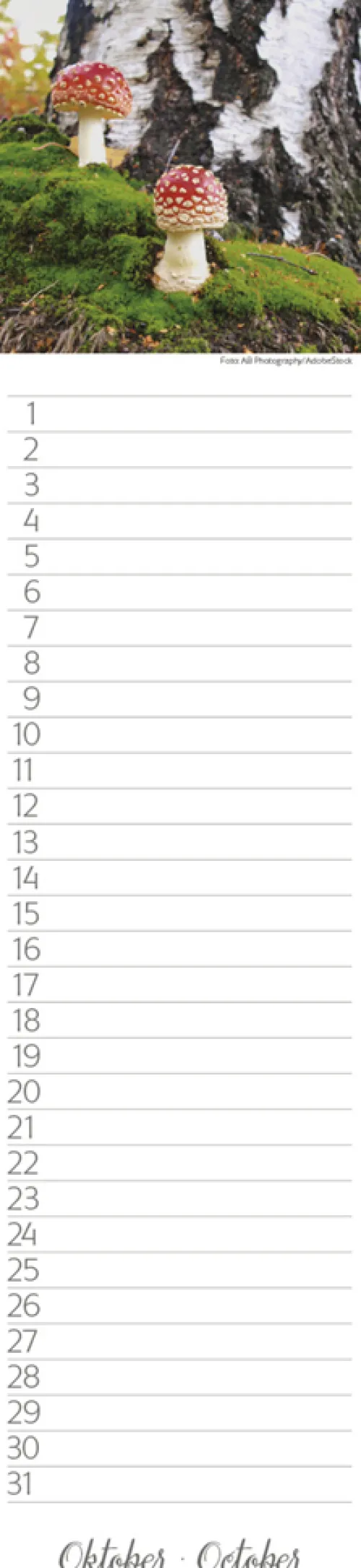 Geburtstags-LP Natur Pur*Korsch Verlag GmbH Hot