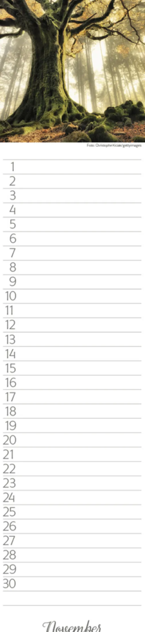 Geburtstags-LP Natur Pur*Korsch Verlag GmbH Hot