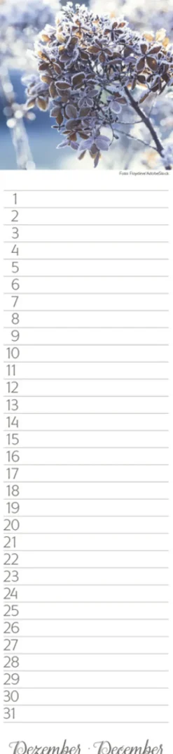 Geburtstags-LP Natur Pur*Korsch Verlag GmbH Hot