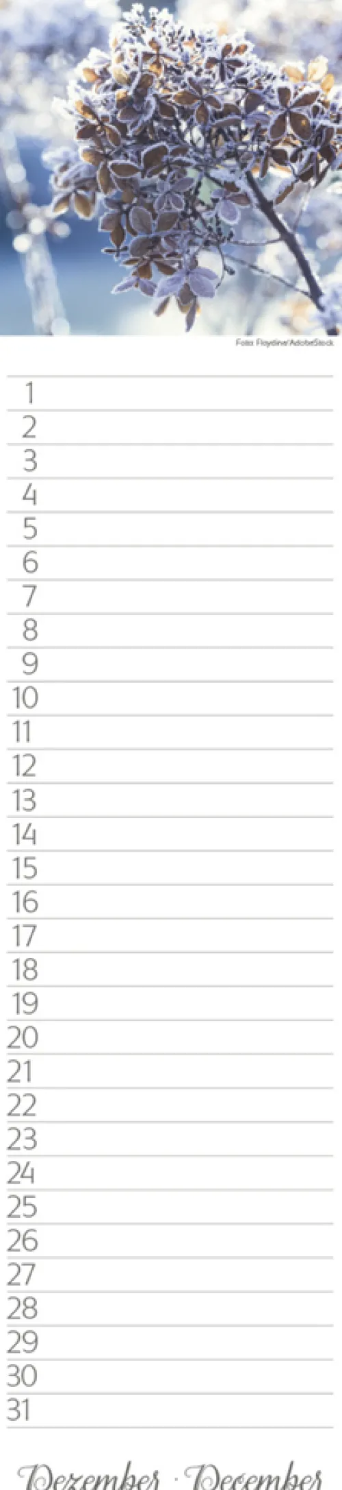 Geburtstags-LP Natur Pur*Korsch Verlag GmbH Hot