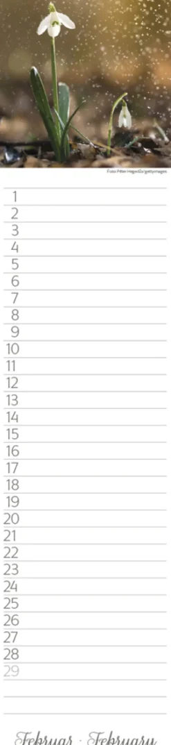 Geburtstags-LP Natur Pur*Korsch Verlag GmbH Hot