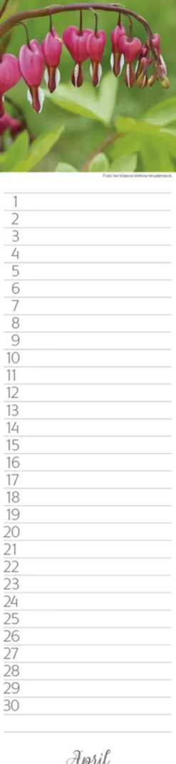 Geburtstags-LP Natur Pur*Korsch Verlag GmbH Hot