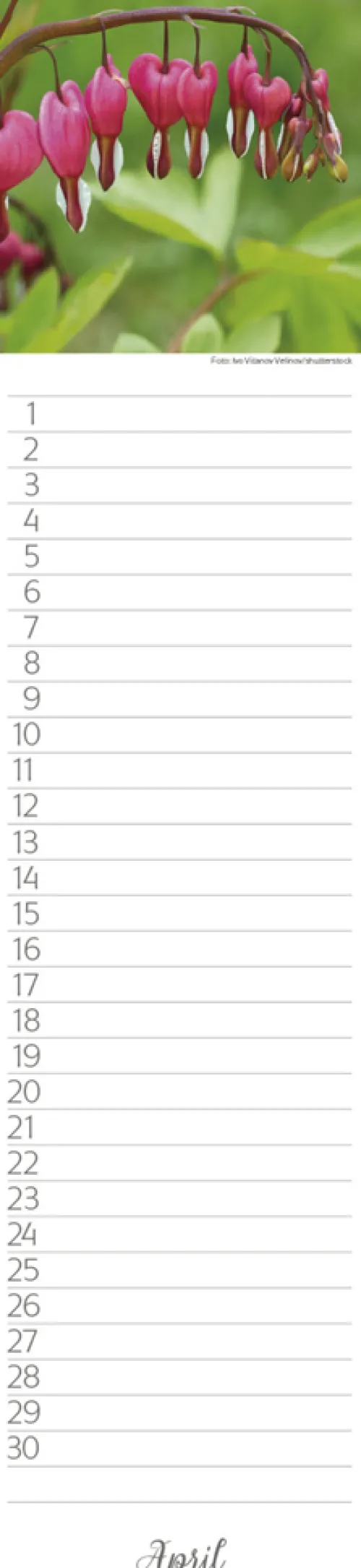 Geburtstags-LP Natur Pur*Korsch Verlag GmbH Hot