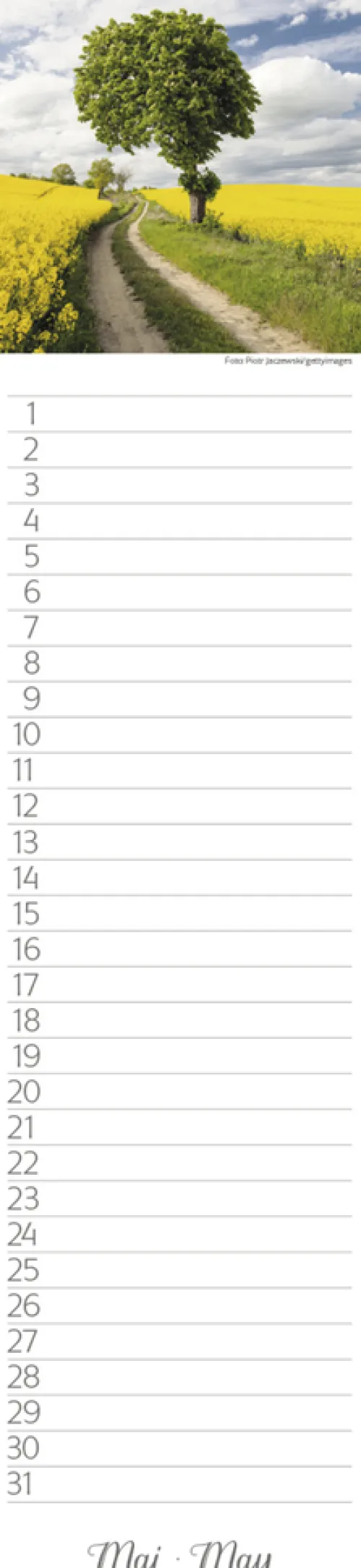 Geburtstags-LP Natur Pur*Korsch Verlag GmbH Hot