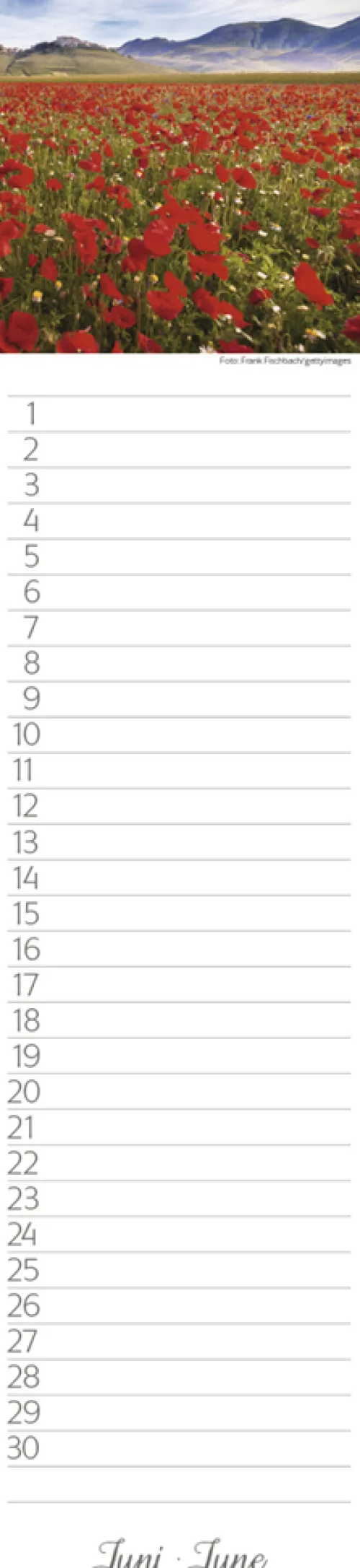 Geburtstags-LP Natur Pur*Korsch Verlag GmbH Hot