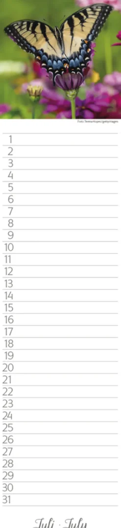 Geburtstags-LP Natur Pur*Korsch Verlag GmbH Hot