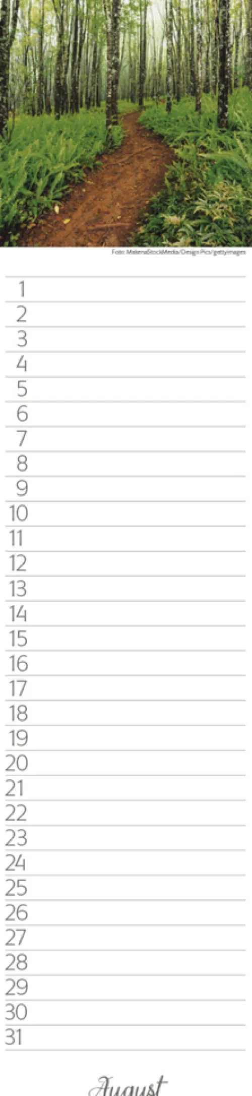 Geburtstags-LP Natur Pur*Korsch Verlag GmbH Hot