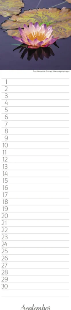 Geburtstags-LP Natur Pur*Korsch Verlag GmbH Hot