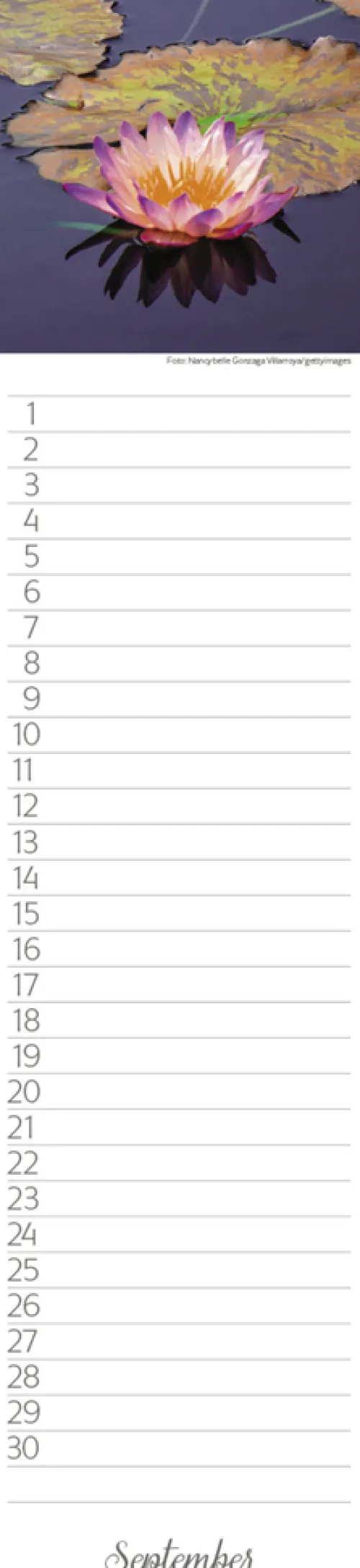 Geburtstags-LP Natur Pur*Korsch Verlag GmbH Hot