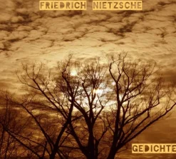 Friedrich Frieden Romane·Gedichte & Drama-Gedichte, 2 Audio-CDs