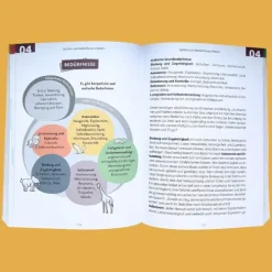 edition claus Familie & Kind|Pädagogik-Gemeinsam durch die Wut