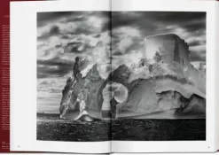 Taschen GmbH Künstler:Innen Im Fokus-GENESIS