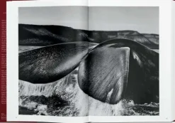 Taschen GmbH Künstler:Innen Im Fokus-GENESIS