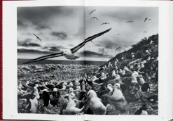 Taschen GmbH Künstler:Innen Im Fokus-GENESIS